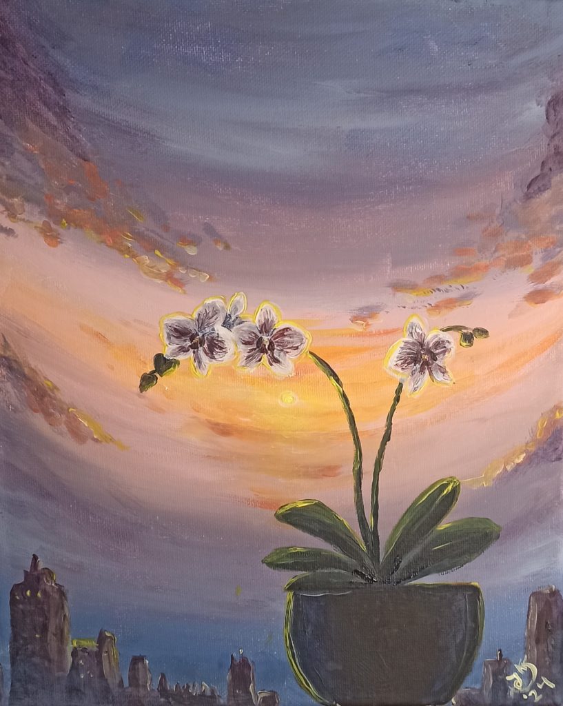 Orchideen am Horizont (208)