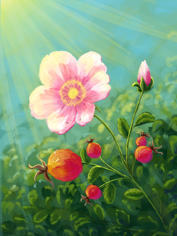 Unbenanntes_Projekt (3)